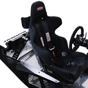 ESR-3 Pro Racing Simulator