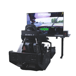 ESR-3 Pro Racing Simulator